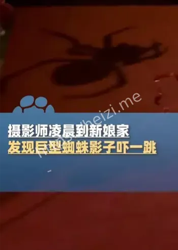 长沙新娘家凌晨巨蜘蛛倒影事件
